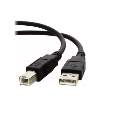 XTech XTC-304 USB 2.0 A-male to B-male cable - 15ft