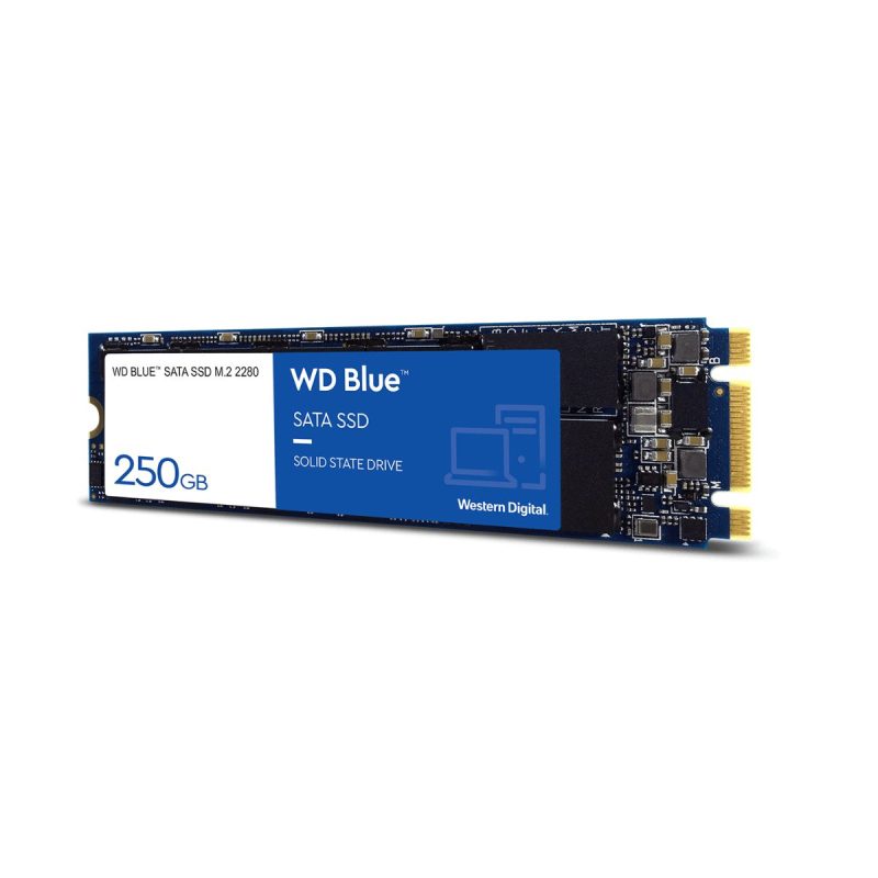 WD Blue WDS250G2B0B Solid State Drive M.2 2280 - 250 GB